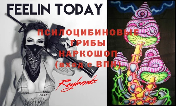 Альфа ПВП Абаза