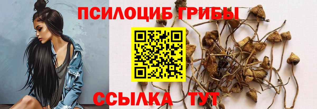 Луга  Галлюциногенные грибы мицелий  Вход с VPN  Галлюциногенные грибы MAGIC MUSHROOMS 