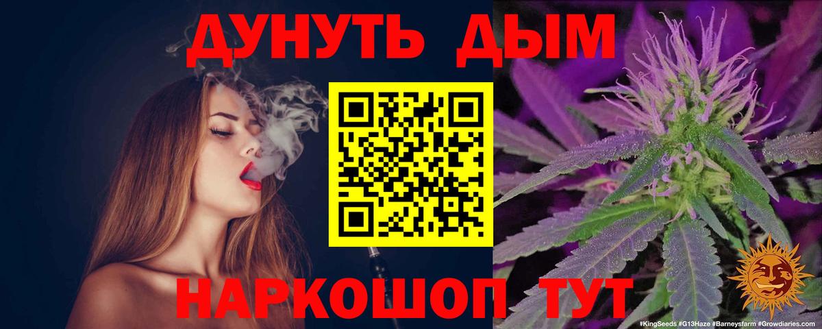 Конопля план Луга